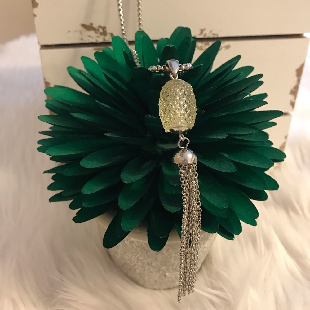 🍍 Silver Tassel Necklace🍍 28” with Extension
